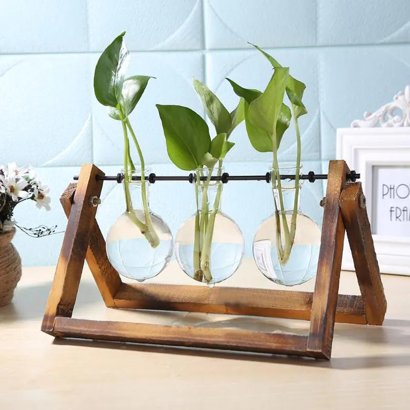 Tabletop Plant Vases