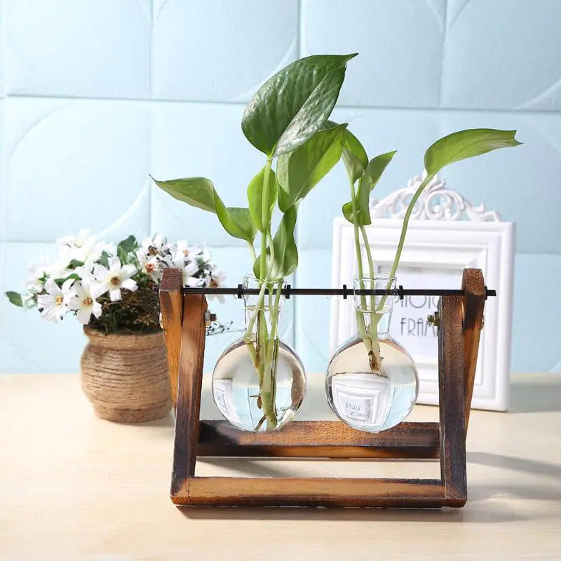 Tabletop Plant Vases