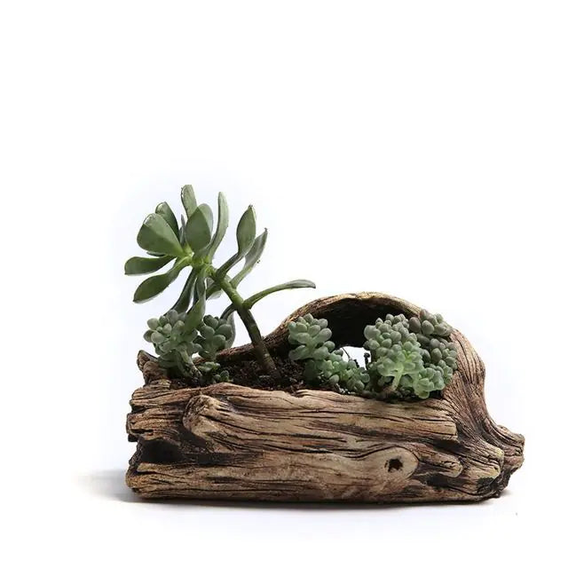 Tree-Shaped Succulent Planter