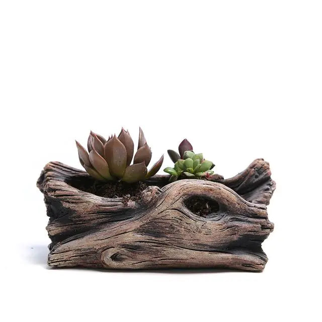 Tree-Shaped Succulent Planter