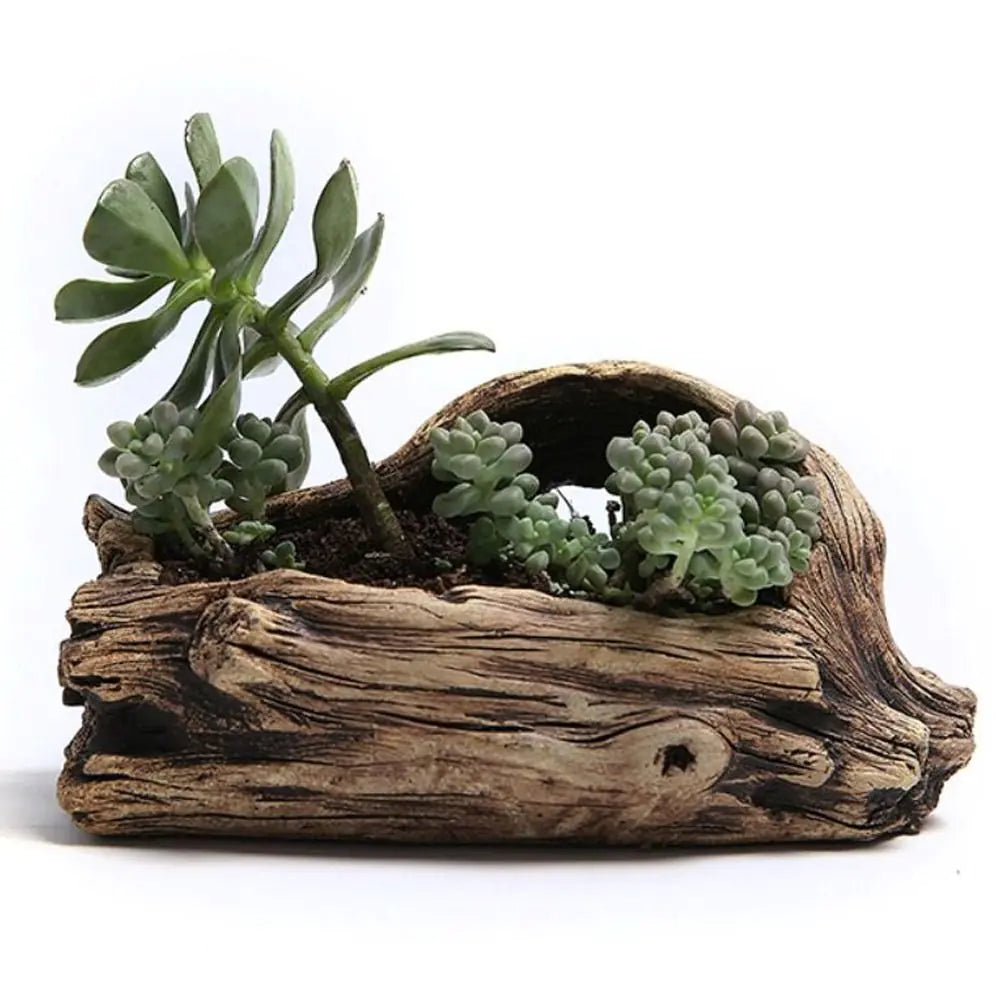 Tree-Shaped Succulent Planter