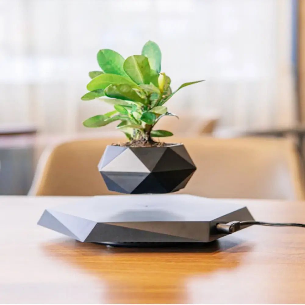 Levitating Air Flower Pot