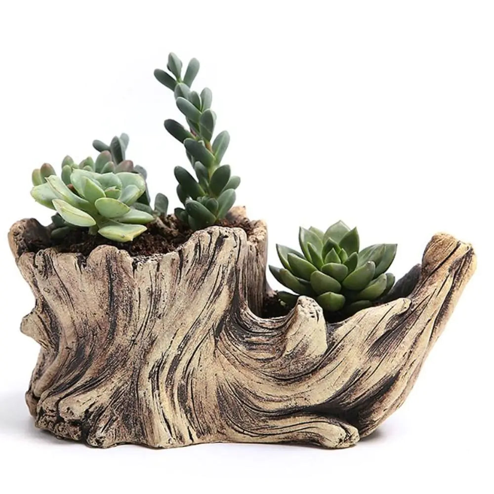 Tree-Shaped Succulent Planter