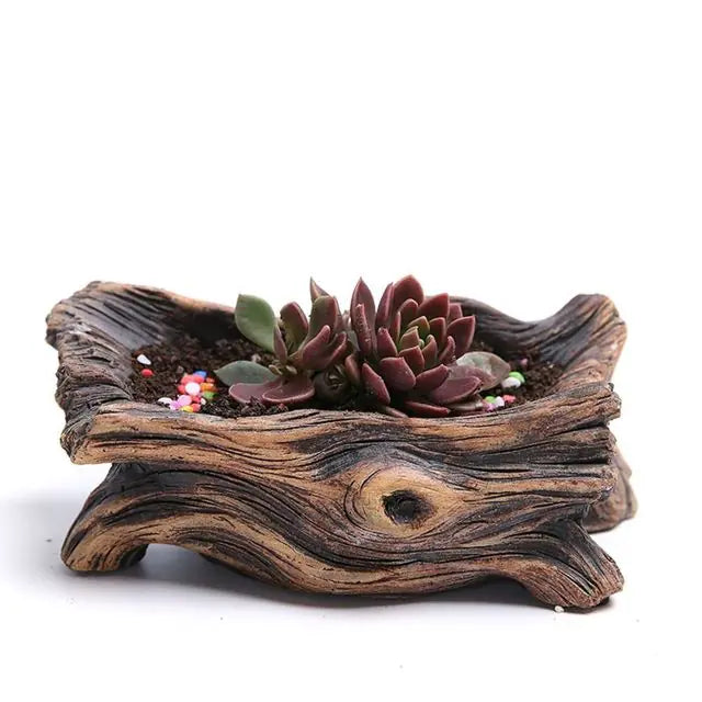 Tree-Shaped Succulent Planter